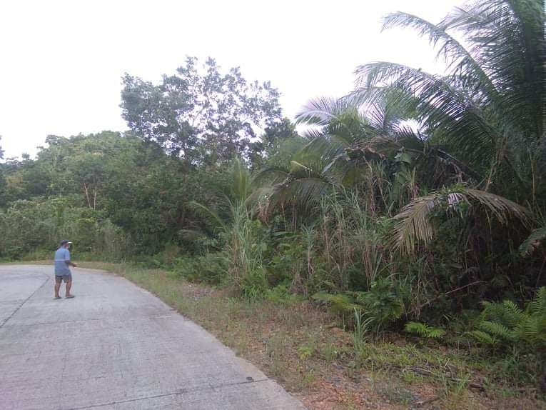 lot, land for sale in Siargao Island (14)