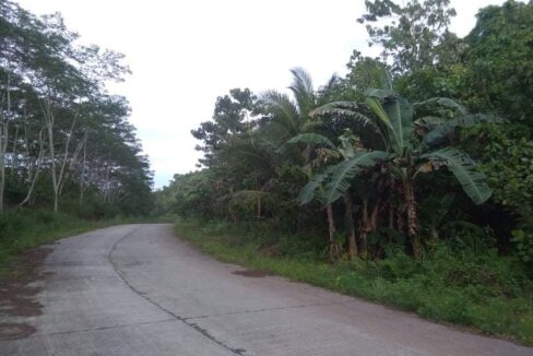 lot, land for sale in Siargao Island (15)