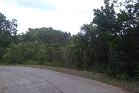lot, land for sale in Siargao Island (6)