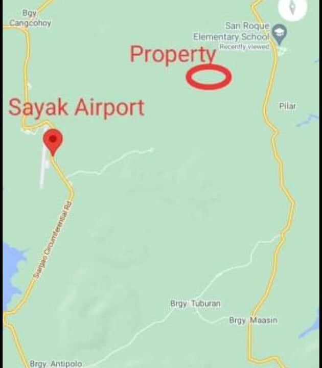 lot, land for sale in Siargao Island (7)