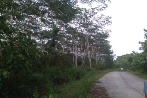 lot, land for sale in Siargao Island (8)