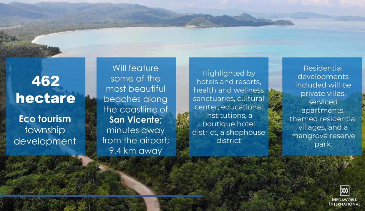 Paragua Properties lot for sale in san vicente Palawan (7)