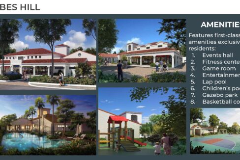 Residential Lot for sale in Forbeshill, Silay, Negros Occidental (10)