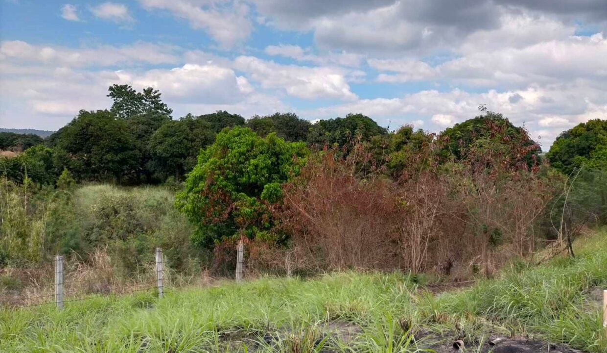 363 Hectares Land for sale in Porac, Pampanga along SCTEX (11)