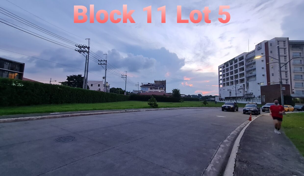 SOUTHWOODS CITY - COMMERCIAL LOTS FOR SALE IN BINAN LAGUNA (3)