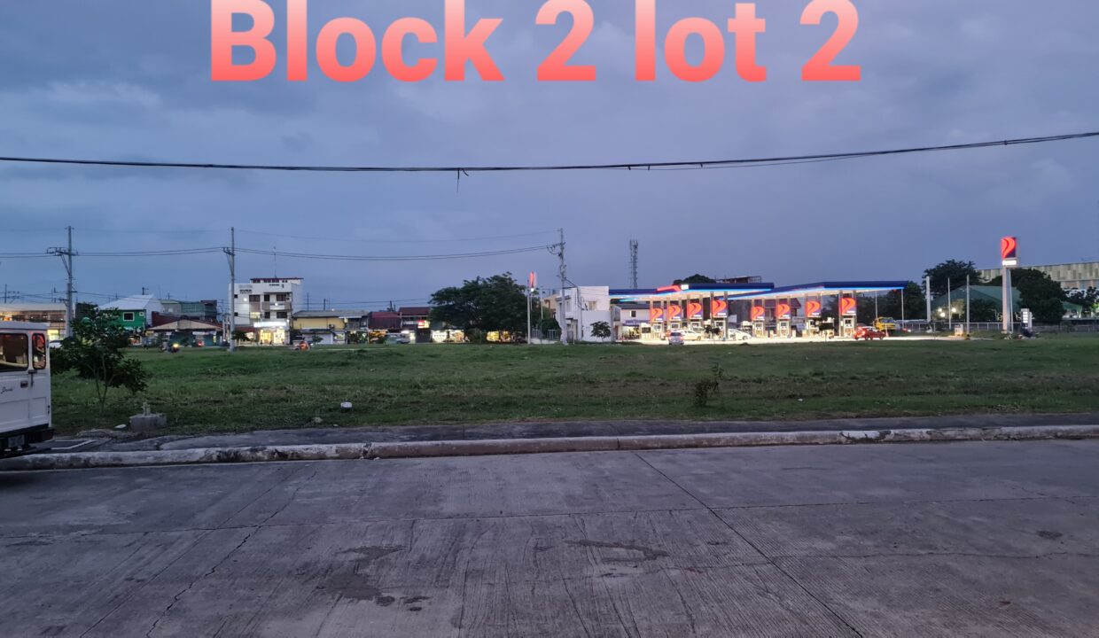 SOUTHWOODS CITY - COMMERCIAL LOTS FOR SALE IN BINAN LAGUNA (4)