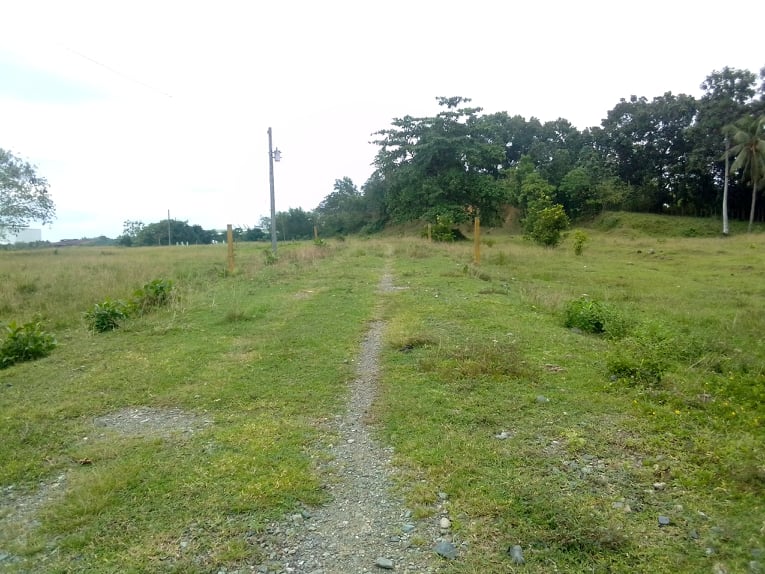 20 Hectares Land for Sale in Balamban Cebu  (4)