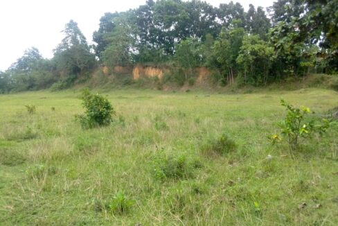 20 Hectares Land for Sale in Balamban Cebu  (8)