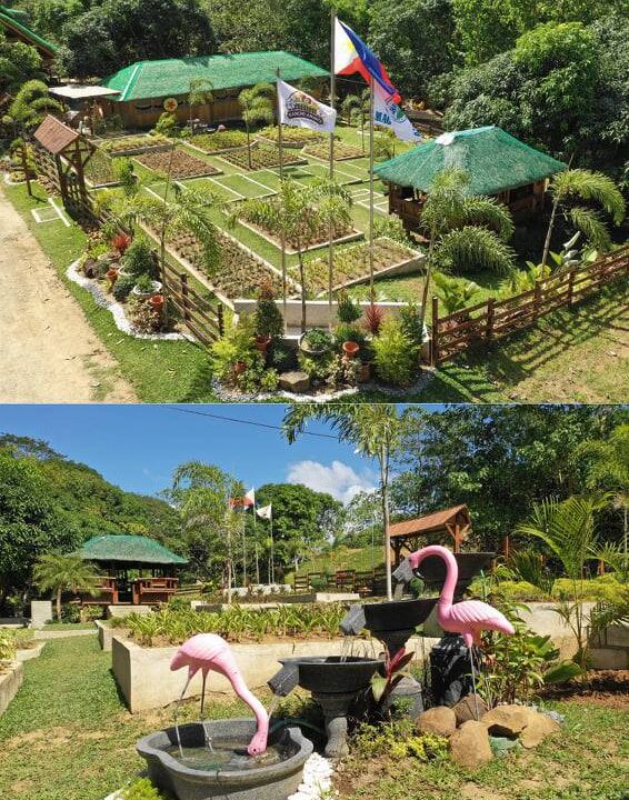 Farm Land for Sale in Nasugbu, Batangas (12)