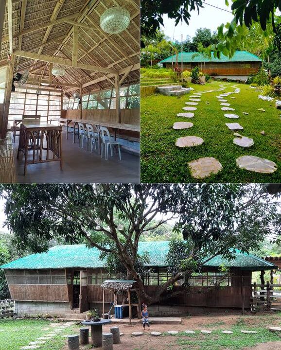 Farm Land for Sale in Nasugbu, Batangas (7)