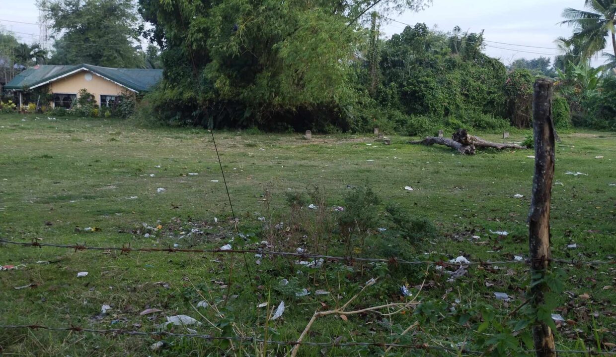 5,000 sqm Vacant Lot for Lease in Sangat, San Fernando, Cebu City (1)