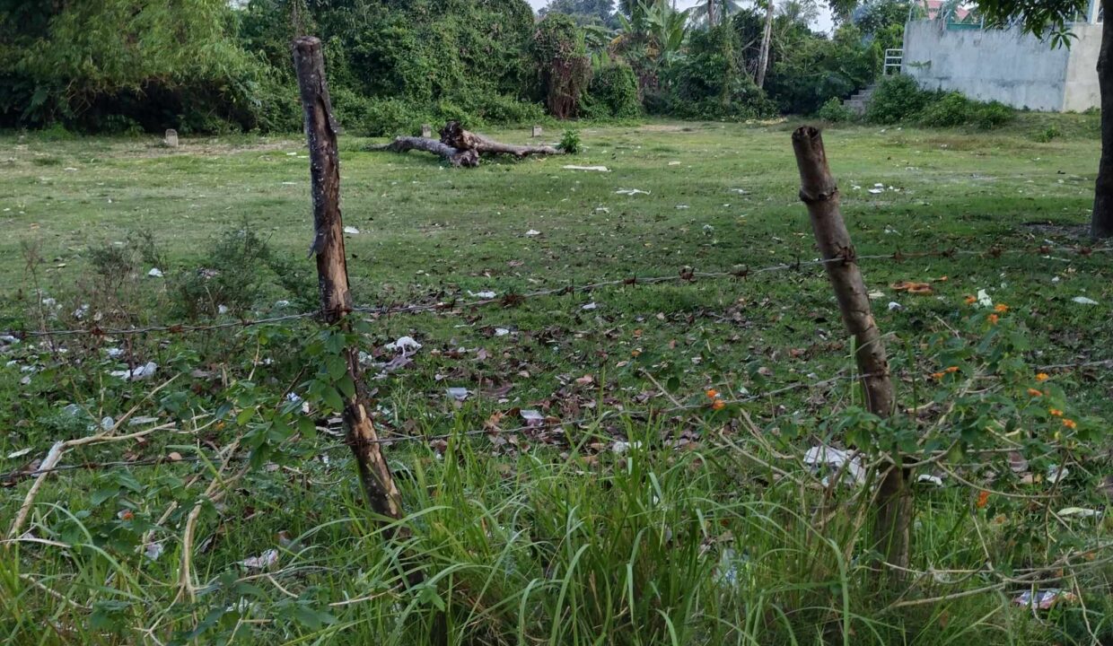 5,000 sqm Vacant Lot for Lease in Sangat, San Fernando, Cebu City (2)