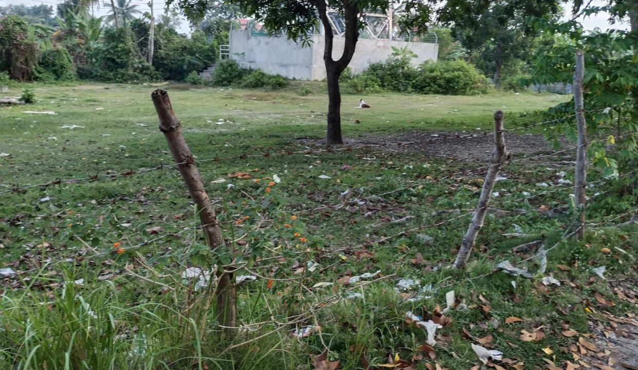 5,000 sqm Vacant Lot for Lease in Sangat, San Fernando, Cebu City (3)