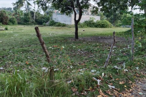 5,000 sqm Vacant Lot for Lease in Sangat, San Fernando, Cebu City (3)