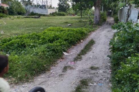 5,000 sqm Vacant Lot for Lease in Sangat, San Fernando, Cebu City (4)