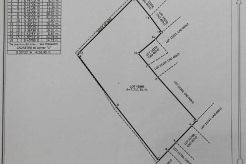 5,000 sqm Vacant Lot for Lease in Sangat, San Fernando, Cebu City (51)