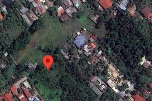 5,000 sqm Vacant Lot for Lease in Sangat, San Fernando, Cebu City (7)