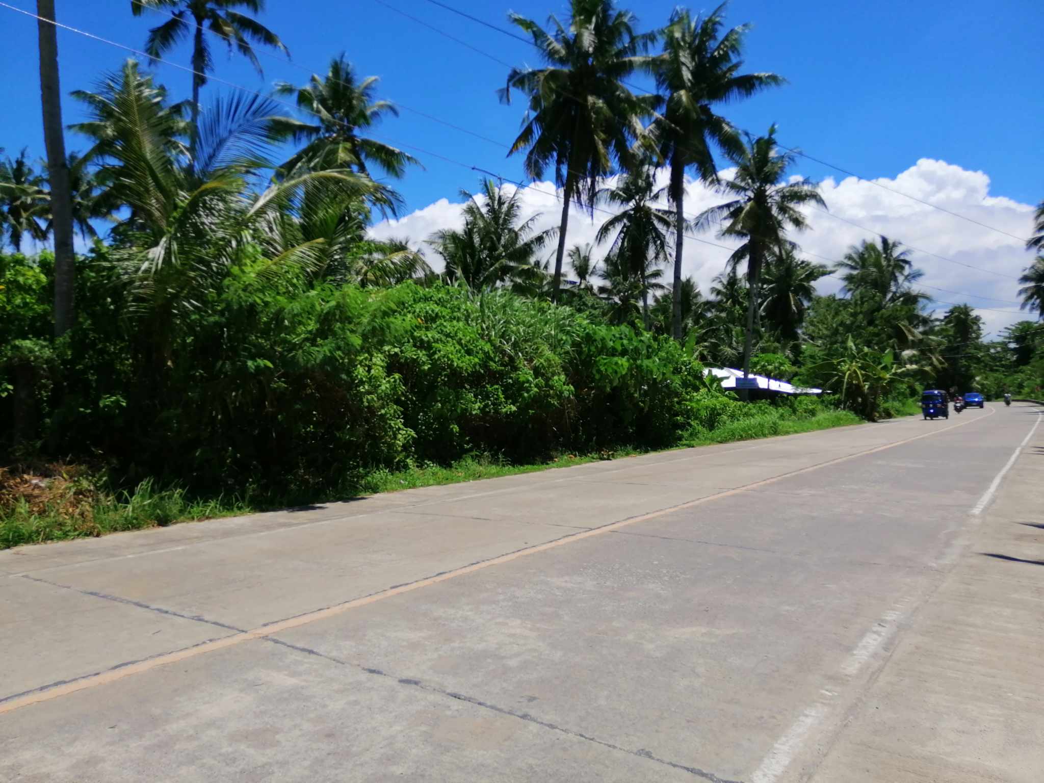 Prime Location! 7 Lots for Sale in Siargao Island (5001822 sqm)
