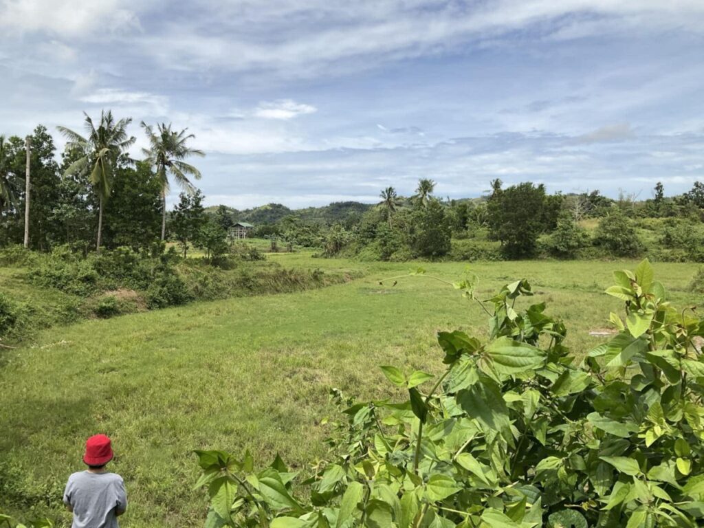 Agricultural Land for Sale in Dagohoy, Bohol