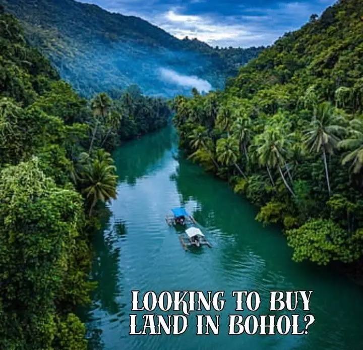 Titled Land for Sale in Loboc Bohol – Residential or Commercial | With Natural Spring & Road Access

